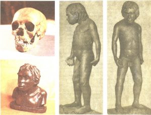 -100 000 лет до н.э. Неандерталец расположил рога горного козла вокруг черепа умершего мальчика