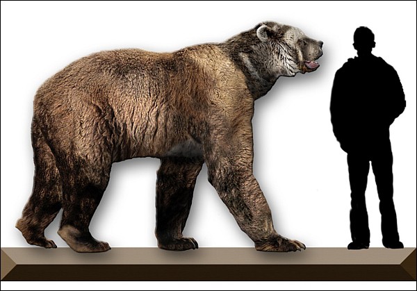-100 000 лет до н.э. Неандертальцы имели религию, связанную с культом пещерного медведя