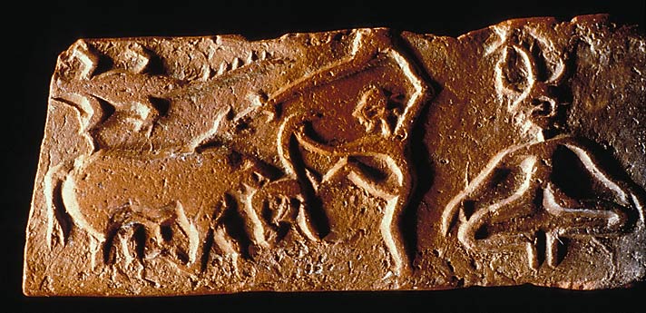 -1700 г. до н.э. Хараппская цивилизация приходит в упадок